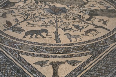 Orpheuksen talo, Orpheus villieläinten ympäröimänä, yksityiskohta (mosaiikki) tekijältä Roman