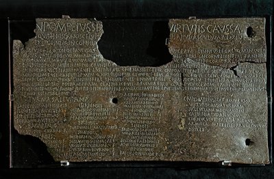 ROMAANIN TAIDE: Pompeius Strabone Gneon asetus, 98-90 eKr. tekijältä Roman