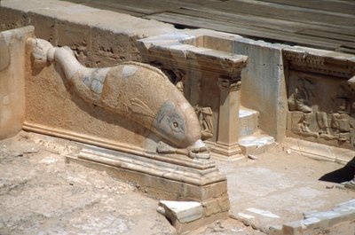 Delfiinin kaiverrus roomalaisen teatterin näyttämön edessä (kuva) tekijältä Roman