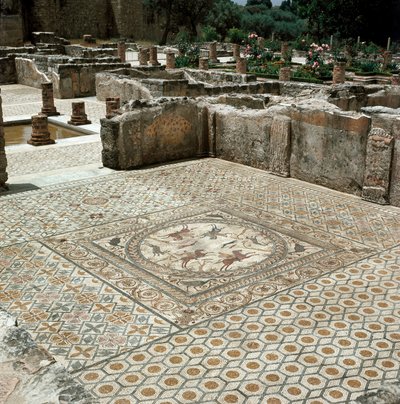 Rooman kaupungin mosaiikkien jäänteet tekijältä Roman