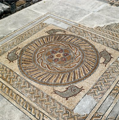 Rooman kaupungin mosaiikkien jäänteet tekijältä Roman