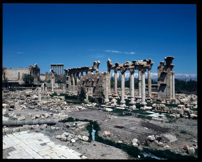Sivuston jäänteet tekijältä Roman