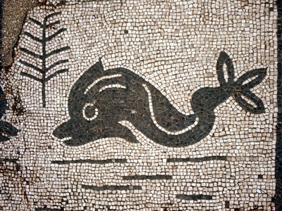 Delfiinin esitys mosaiikin jälkeen Corporazioni of Ostia (Ostia) antica -aukiolla. tekijältä Roman