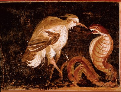 Roomalainen taide: "" Taistelu haikaran ja kobran välillä"" Roomalainen fresko epigrammien talosta, Pompejista, Italiasta (Haikaran ja kobran välinen taistelu, fresko casa degli Epigrammista, Pompejista) 60-80 jKr. tekijältä Roman
