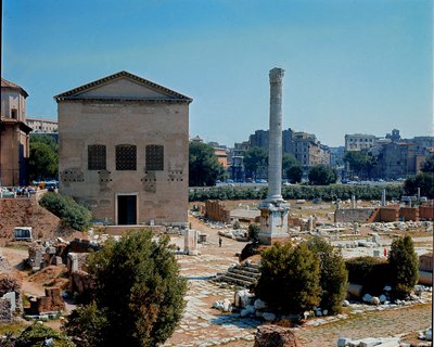 Forum Romanum: näkymä senaatin Curian (curia) kokouspaikalle. 1. vuosisadalla eaa. Rooma tekijältä Roman