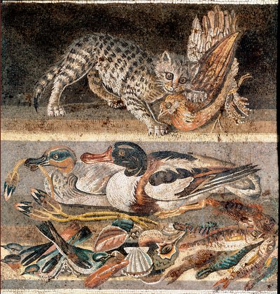 Roomalainen taide: kissa syö peltopyytä ja villiankat 1. eKr. ensimmäinen puolisko) Rooma, Museo Nazionale Romano tekijältä Roman