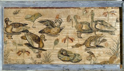 Roomalainen taide: ankka, sammakko ja lumpeet lammessa. Mosaiikki Pompejin eläimistön huvilasta. 1. vuosisadalla. Himmeä. 132x164 cm. Museo Archeologico Nazionale, Napoli tekijältä Roman
