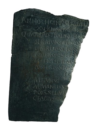Sairaaloiden hallitus tekijältä Roman