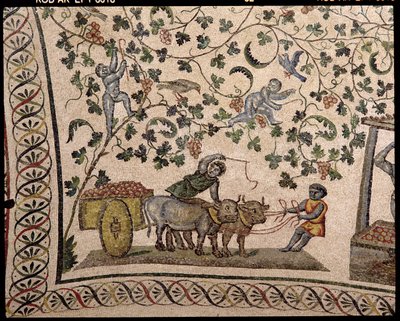 Rypäleen sato (mosaiikki) tekijältä Roman