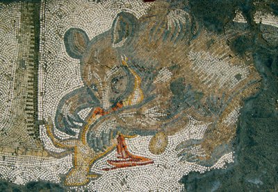 Tuntematon kuva tekijältä Roman
