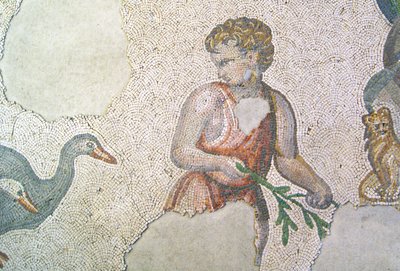Tuntematon kuva tekijältä Roman