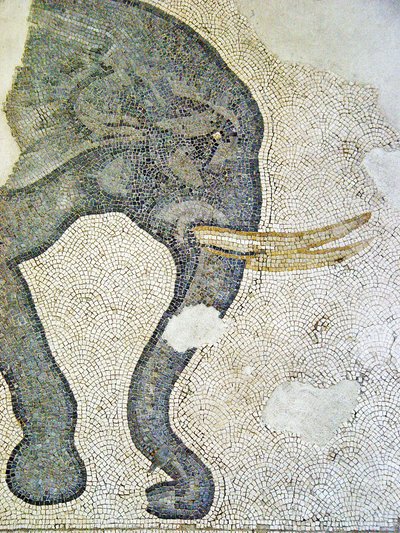 Tuntematon kuva tekijältä Roman