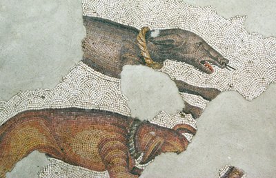 Tuntematon kuva tekijältä Roman