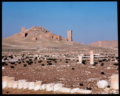 Näkymä Iamblichuksen ja Elahbelin tornihaudoista (valokuvaus) tekijältä Roman