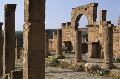 Cardo ja pääsy Cosinius-markkinoille, korkea keisarillinen aika (27 eKr.-395 jKr.) tekijältä Roman Imperial Period