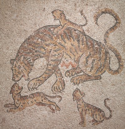 Tiikerit ja pennut, 300 vuotta tekijältä Roman Imperial Period