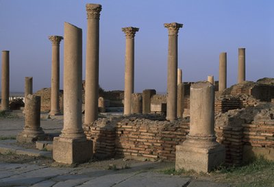 Näkymä kirjastosta, noin 100 jKr, korkea keisarillinen aika (27 eKr.-395 jKr) tekijältä Roman Imperial Period