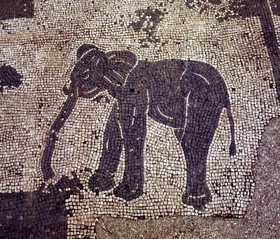 Muinainen Ostia (Ostia). Place des Corporations. Sabratha Seafarers Corporationin mosaiikki. tekijältä Roman Roman