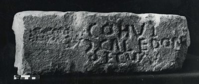 Vuosisadan kivi (kivi) tekijältä Roman Roman