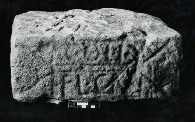 Vuosisadan kivi (kivi) tekijältä Roman Roman