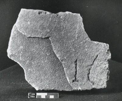 Vuosisadan kivi (kivi) tekijältä Roman Roman