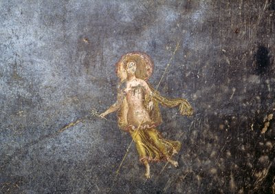 Fresko House of Menanderista, Pompejista (UNESCOn maailmanperintöluettelo). tekijältä Roman Roman