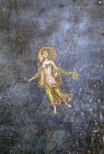 Fresko House of Menanderista, Pompejista (UNESCOn maailmanperintöluettelo). tekijältä Roman Roman