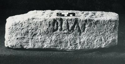 Kaiverrettu vuosisadan kivi (kivi) tekijältä Roman Roman