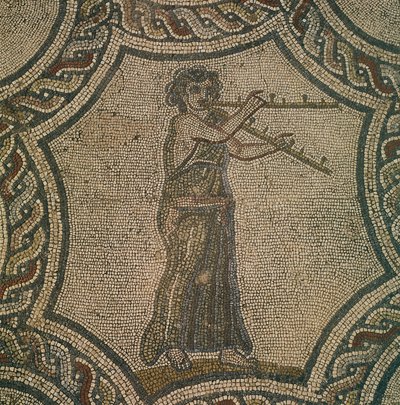 Mosaiikki, joka kuvaa naishuilusoittajaa Dionysoksen talosta, Volubilisista, Marokosta, roomalaisesta sivilisaatiosta, tekijältä Roman Roman