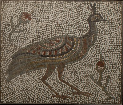 Mosaiikki, jossa on riikinkukko ja kukkia, 3.-4. vuosisata (mosaiikkia) tekijältä Roman Roman