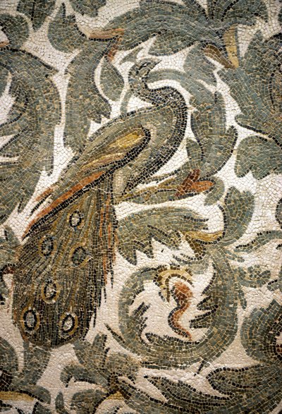 Riikinkukko, mosaiikin yksityiskohta - 4. vuosisadalla eKr., Bardo-museo, Tunis tekijältä Roman Roman