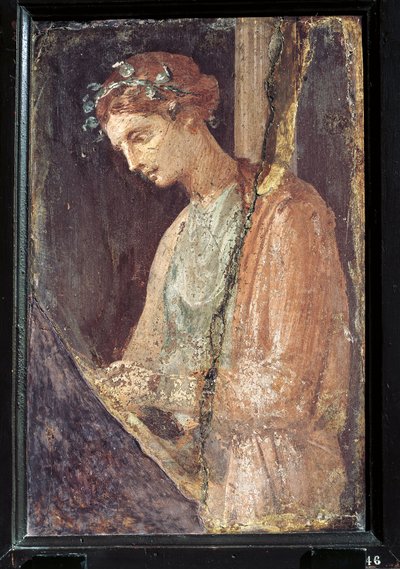 Profiilimuotokuva nuoresta naisesta Italiasta, Campaniasta, Pompejista, maalaus kipsille, 55-79 jKr. tekijältä Roman Roman