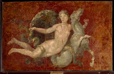Roomalainen taide: nainen ratsastaa merihevosella. Fresko Stabiasta. Napoli, Museo Archeologico Nazionale - Roomalainen taide: nainen ratsastaa merihevosella. Fresko Stabiasta. Kansallinen arkeologinen museo, Napoli, Italia tekijältä Roman Roman