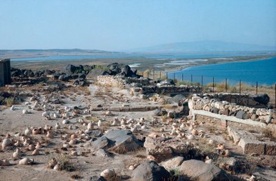 Näkymä Tharrosin kaupungista, muinaisesta puunilais-roomalaisesta satamasta, jonka foinikialaiset perustivat Sardiniaan, Italiaan tekijältä Roman Roman