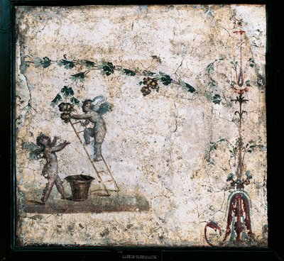 Kolmannen tyylin fresko, joka kuvaa Cupidon sadonkorjuuta, Marcus Lucretiuksen talosta Pompejista tekijältä Roman Roman