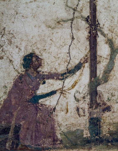 Nainen pyhässä puussa, freskon fragmentti Pompejista, Campaniasta, Italiasta, roomalaisesta sivilisaatiosta tekijältä Roman Roman