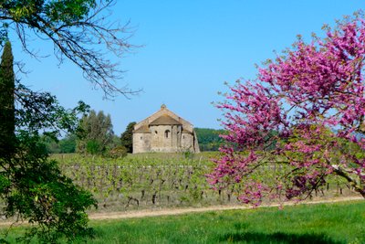 Romaaninen kappeli Saint-Etienne de Vaissiere Azillessa (valokuva) tekijältä Romanesque