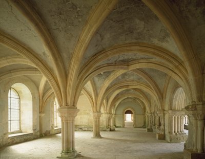 Näkymä scriptoriumille, yhteisön kohtaamispaikalle, 1100-luvulla perustettu siltercian luostarille. Fontenay, Gold Coast tekijältä Romanesque