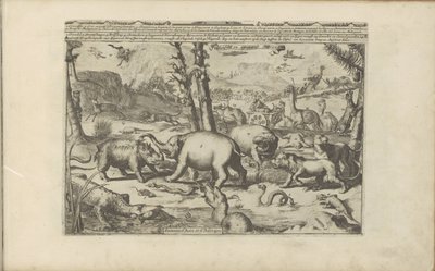 Asiatische en Afrikaanse diren Aziatische en Afrikaanse dieren / Aasian ja Afrikan eläimet (otsikko esineessä) Itä- ja Länsi-Intia ja muut paikat (sarjan nimi) tekijältä Romeyn de Hooghe