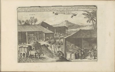 Brazilianse suikerwerkers Brasilise Suykerwerken / Sweets from Brasil (otsikko esineessä) Itä- ja Länsi-Intia ja muut paikat (sarjan nimi) tekijältä Romeyn de Hooghe