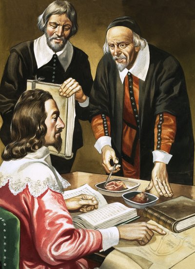Kaarle I ja William Harvey keskustelemassa sydämestä tekijältä Ron Embleton