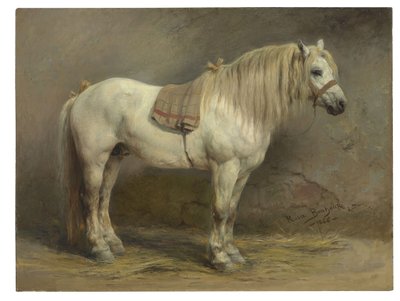 Valkoinen hevonen tekijältä Rosa Bonheur