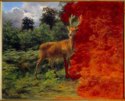 Hirvi kuuntelemassa tuulta tekijältä Rosa Bonheur