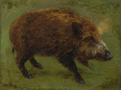 Ranskalainen:  Le sanglier Villisika tekijältä Rosa Bonheur