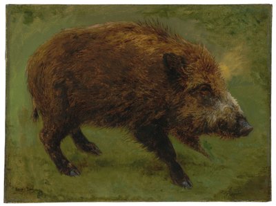 Villisika (öljy kankaalle) tekijältä Rosa Bonheur