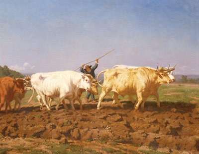 Kyntö Nivernais