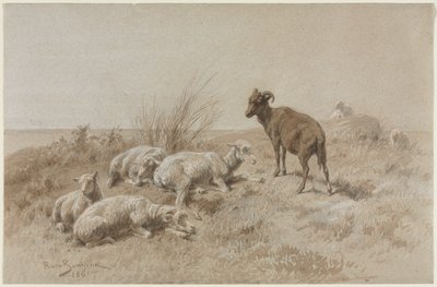 lampaat tekijältä Rosa Bonheur