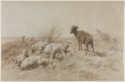 lampaat tekijältä Rosa Bonheur