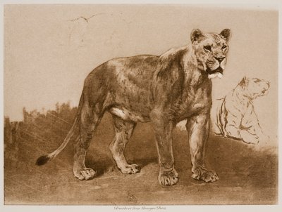  tekijältä Rosa Bonheur