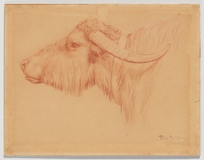  tekijältä Rosa Bonheur